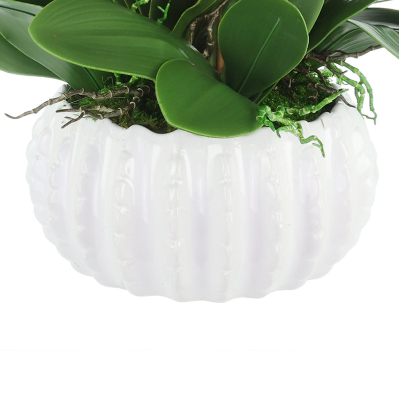 Purple Orchids Arranged in Decorative Ceramic Pot, 24"H x 22"W x 22"D