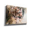 «Leopard's Lair» par Robert Campbell, art mural sur toile-1607839009