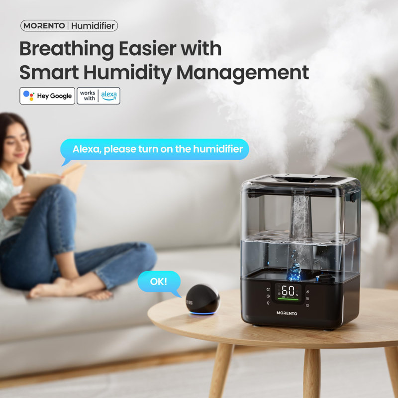 6L Cool Mist Top Fill Humidifier with Essential Oil Diffuser, Black