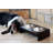Anti-Skid Elevated Feeder-156498297