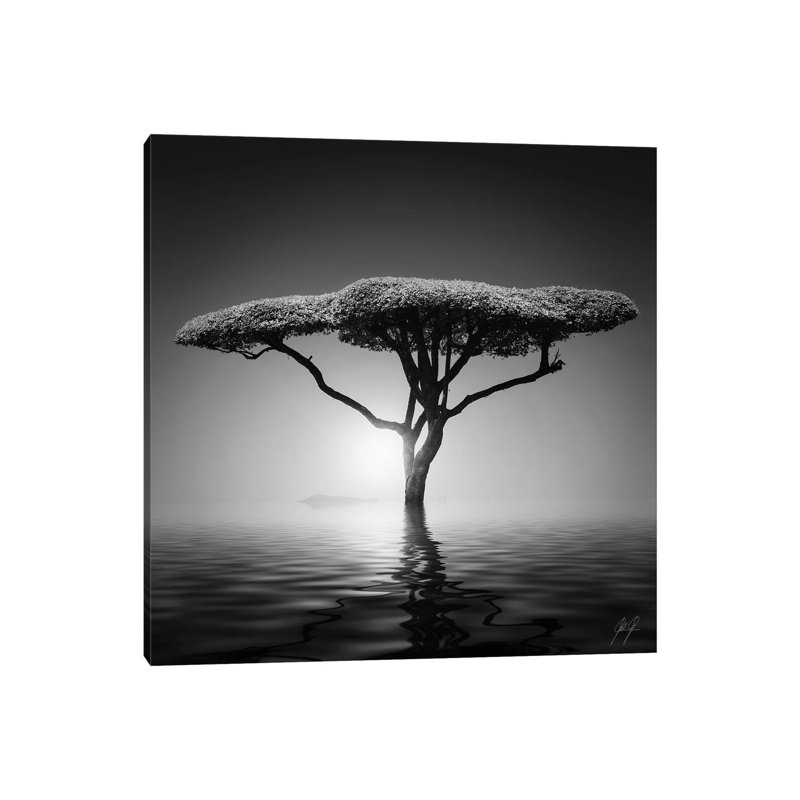 Mushroom Tree by Kathrin Federer - Wrapped Canvas Print, 66.04cm H x 66.04cm W x 1.905cm D