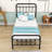 Assunta Metal Platform Bed with Headboard-794205387