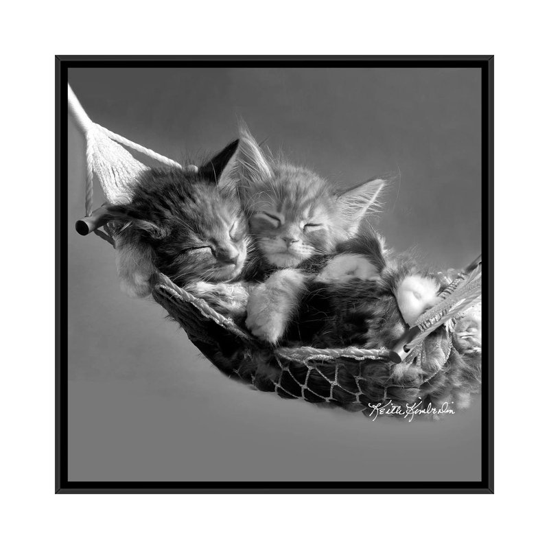 Kits In Hammock by Keith Kimberlin - Print on Canvas, Black Framed, 45.72 cm H x 45.72 cm W