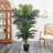 6.5ft. Golden Cane Palm Silk Tree