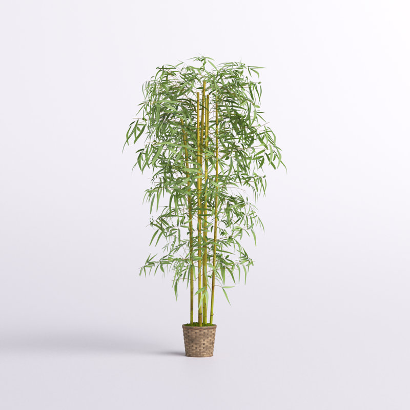 Silk Bamboo Tree in Basket
