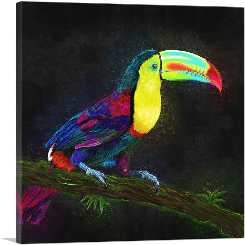 «Keel Bills Toucan», impression sur toile tendue, H 12 po x l 12 po x P 1,5 po