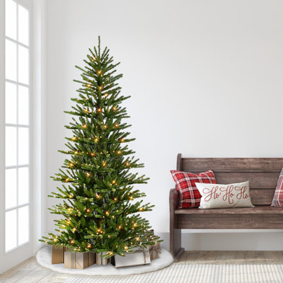 Lighted Spruce Christmas Tree