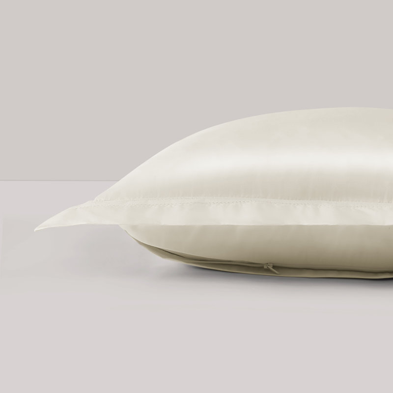 Yalda Euro Sham, Ivory