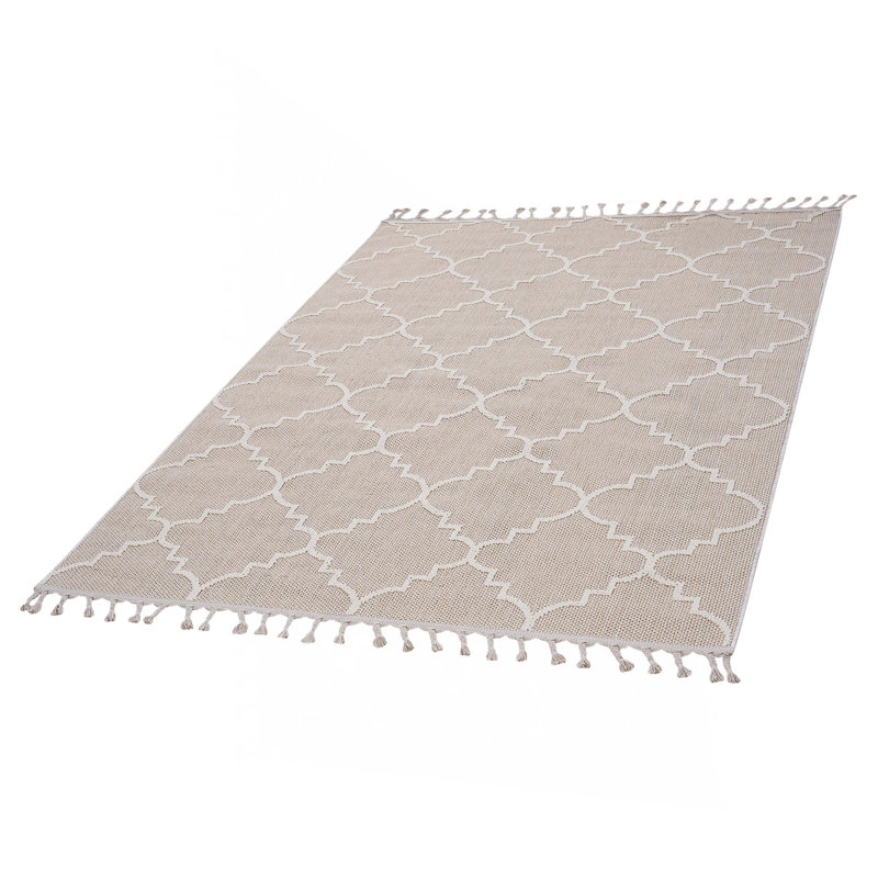 Collection Ivory /Trellis Indoor/Outdoor Area Rug, Rectangle 4' x 6'2"