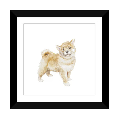 « shiba shiba chiot », impression sur toile