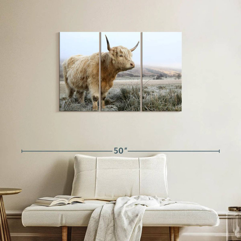 Vache sauvage sauvage des Highlands, H 24 po x l 38 po