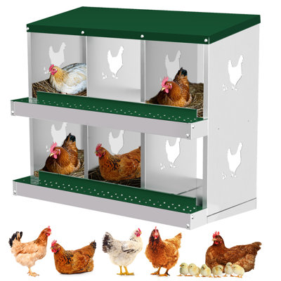 Chicken Egg Incubator