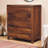 Corell Solid Wood Accent Chest