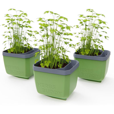 Herbs Buddy Self-Watering Planter Pot for Herbs, Special Water Level Indicator