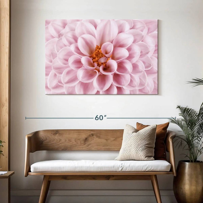 Dahlia rose Harnek, H 30 po x l 45 po