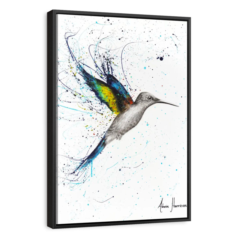 Joyeux colibri, 31 po x 46 po, Cadre flottant noir