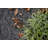 Geometric Machine Tufted Nylon Indoor / Outdoor Area Rug in Assorted Set-953462594