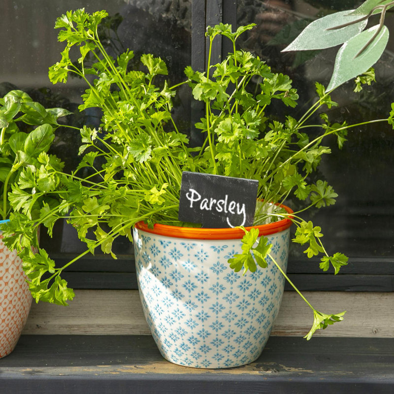 Nicola Spring Hand-Printed Plant Pots - 14cm - Blue - Pack of 2