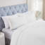 Brandon Cotton Three-Line Embroidered Deep Pocket Bed Sheet Set by Superior-100469535-110843107