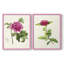 Impression encadrée PrettyPinkBotanicalsI-Premium - prête à être accrochée - aucun clou requis - aucun clou requis-1909328021-1909328020