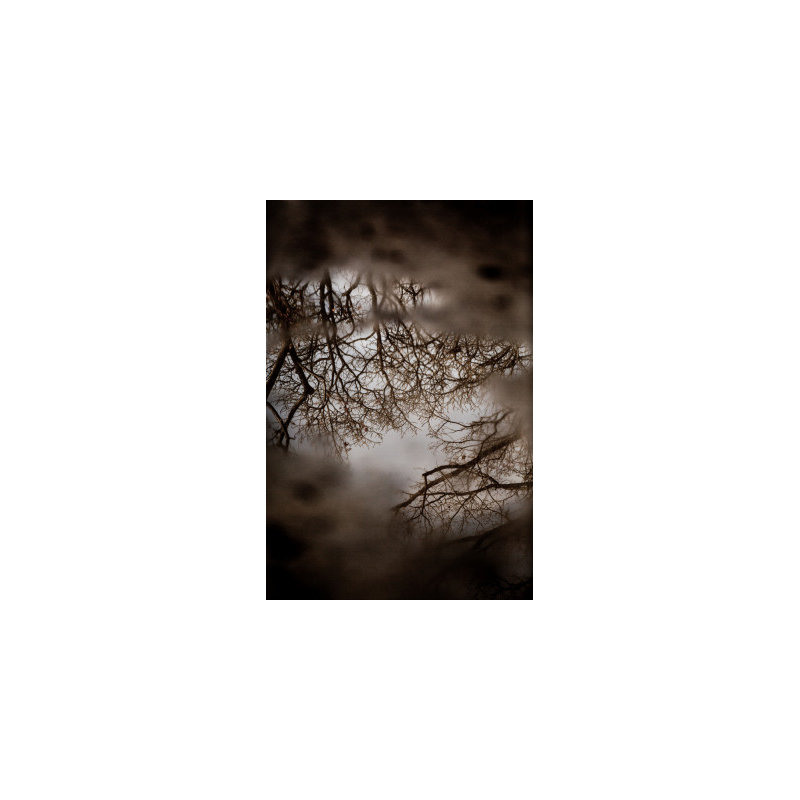 Wrapped Canvas Print, 76.2 cm H x 50.8 cm W