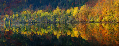 Wrapped Canvas Print, 81.28 cm H x 121.92 cm W