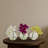 Phalaenopsis Orchid Planter Set