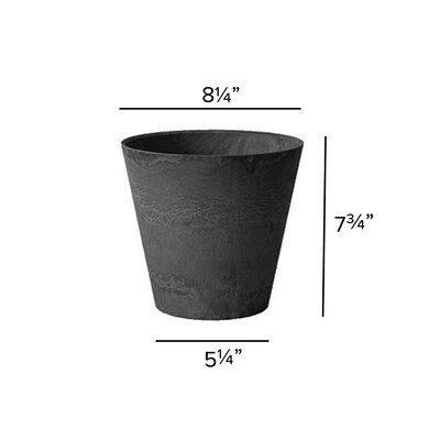 Foundry Select Carrero Pot Planter & Reviews | Wayfair