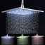 Wellman Rain Adjustable Shower Head-1549691486