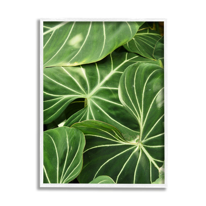 Végétale luxuriante à feuilles vertes, H 20 po x l 16 po x P 1,5 po, Giclée encadrée blanc bord de mer