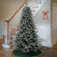 Arbre Holliston-1847440706