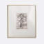 Oak Print by Cornelis Steffelaar