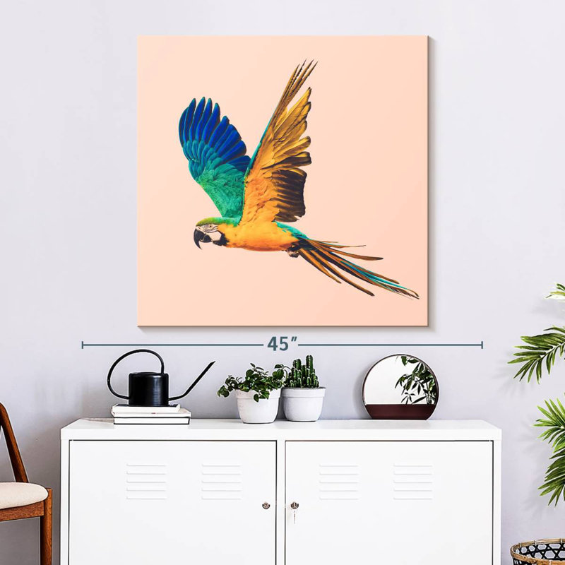 Brampt Macaw Parrot Flying, 33" H x 33" W