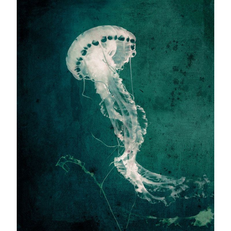 Marine Collection V Print by GI Lab, 32" H x 24" W x 1.5" D, Glass Coat