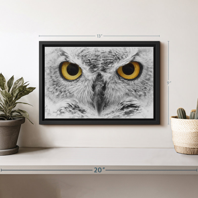 Animal «Gazing Bold Owl», reproduction sur toile, H 9 po x l 13 po