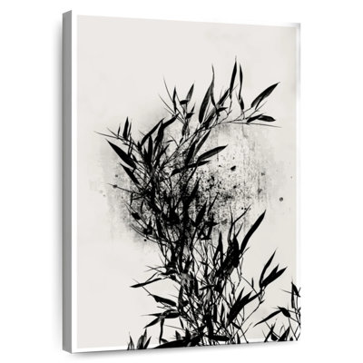 Orchidée noire Harnek