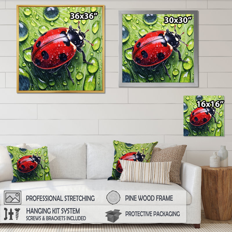 Coccinelles rouges et noires II sur toile, H 24 po x l 24 po x P 1 po, Cadre flottant blanc