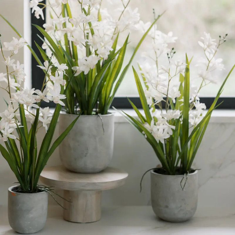 22.5" Artificial White Orchid in Vanda Pot