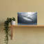 Tiger Shark Ocean Sunlight Dramatic Tranquil Abstract Fish Shark Tiger Ocean Wildlife Wall Art Print 1 Piece Wrapped Canvas Wall Art-969365877