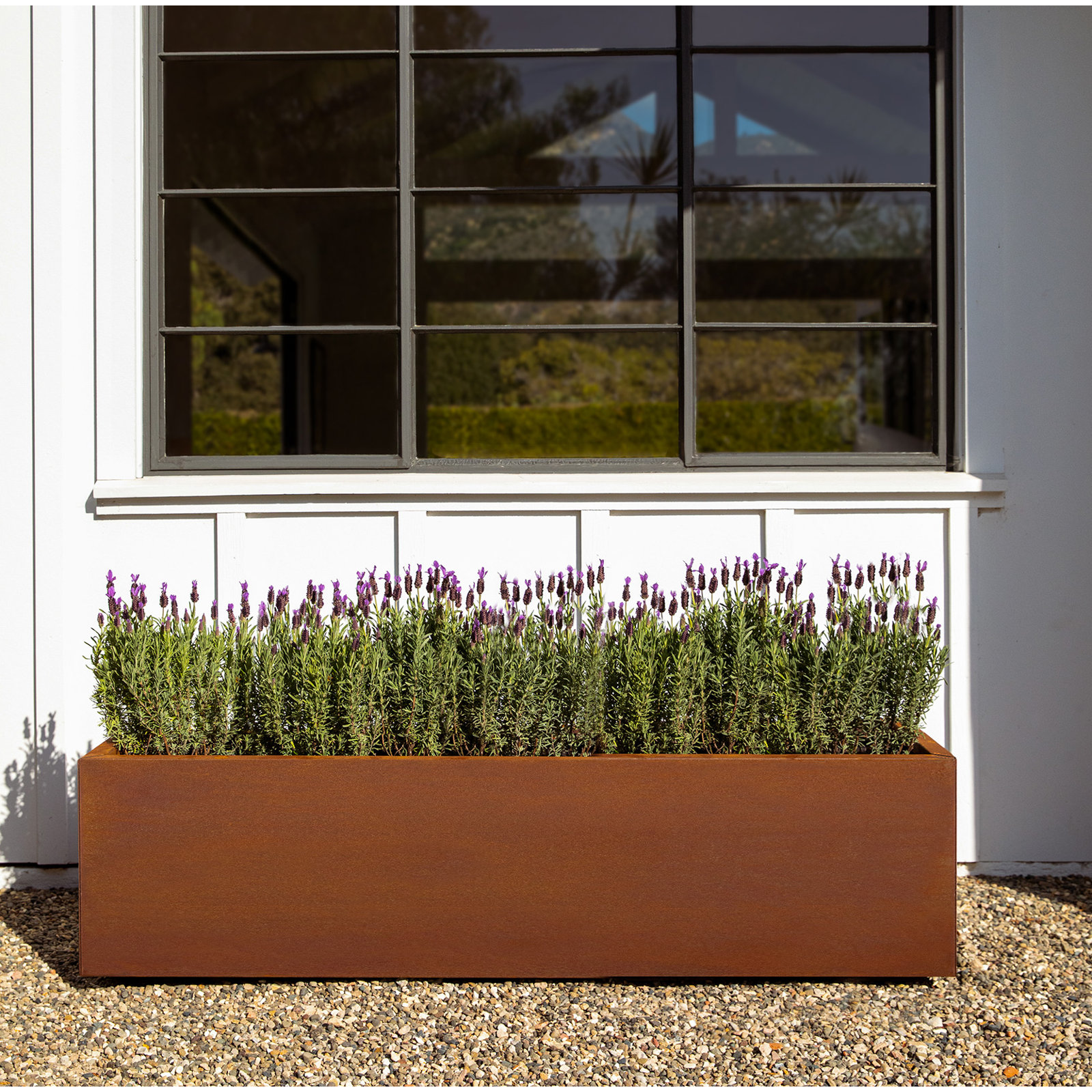 Corten Steel Series Long Box Planter, 16.25" H x 60" W x 15" D