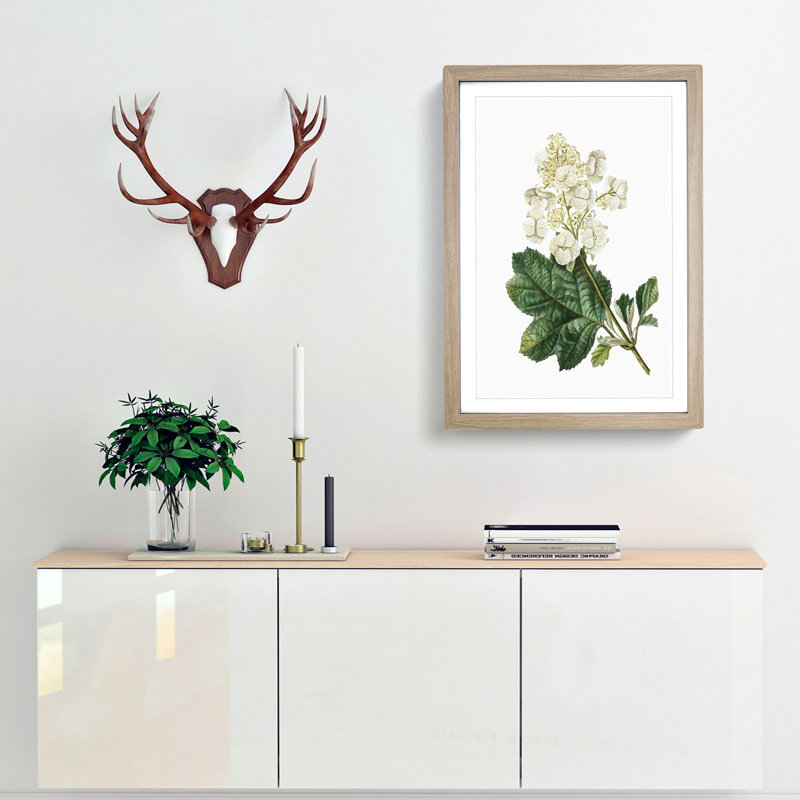 Oakleaf Hydrangea by Pierre-Joseph Redoute - Framed Print, Oak Framed, 36cm H x 27cm W x 2cm D