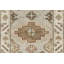 Cotton Oriental Area Rug in Gray