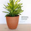 Jardinière intérieure / extérieure en plastique recyclé Dayton avec soucoupe attachée-1208387132-1262089972