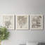 «Sepia Exotic Plants IV», ensemble de 3 peintures sur toile encadrées-595440743-595440739