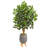 48'' Faux Ficus Tree in Clay Planter