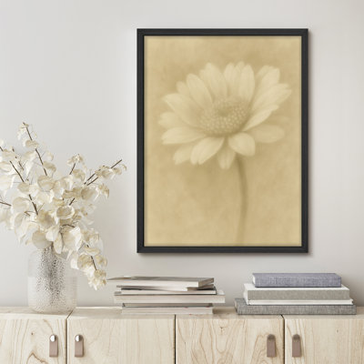 Soft Daisy Flower Framed Print - Minimalist Floral Artwork in Sepia for Bedroom or Living Room
