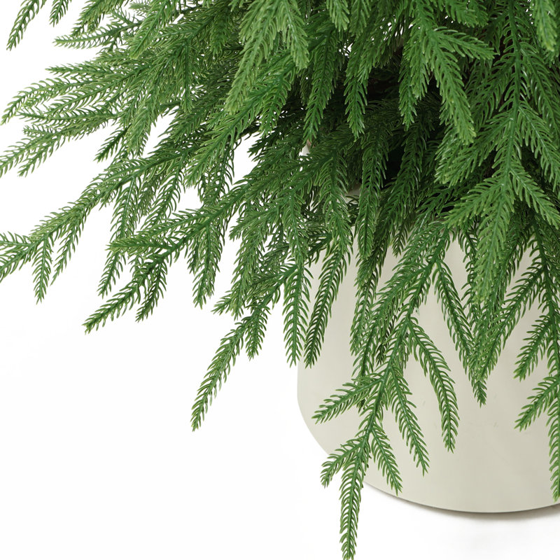 Sapin de Noël artificiel Norfolk Pine de 1,5 m en pot blanc