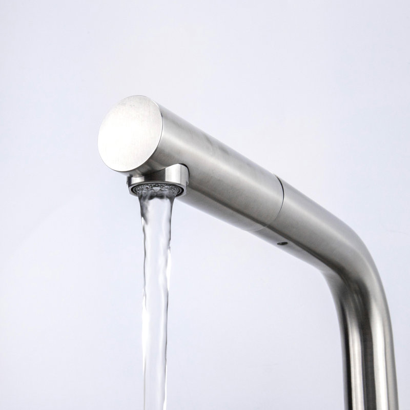 Belfry Kitchen Gaiser Pull Out Kitchen Faucet