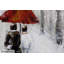 Acrylic Painting Kiss In The Snow