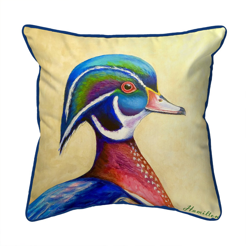  Housse et insert de coussin extérieur d'extérieur, 18 po x 18 po